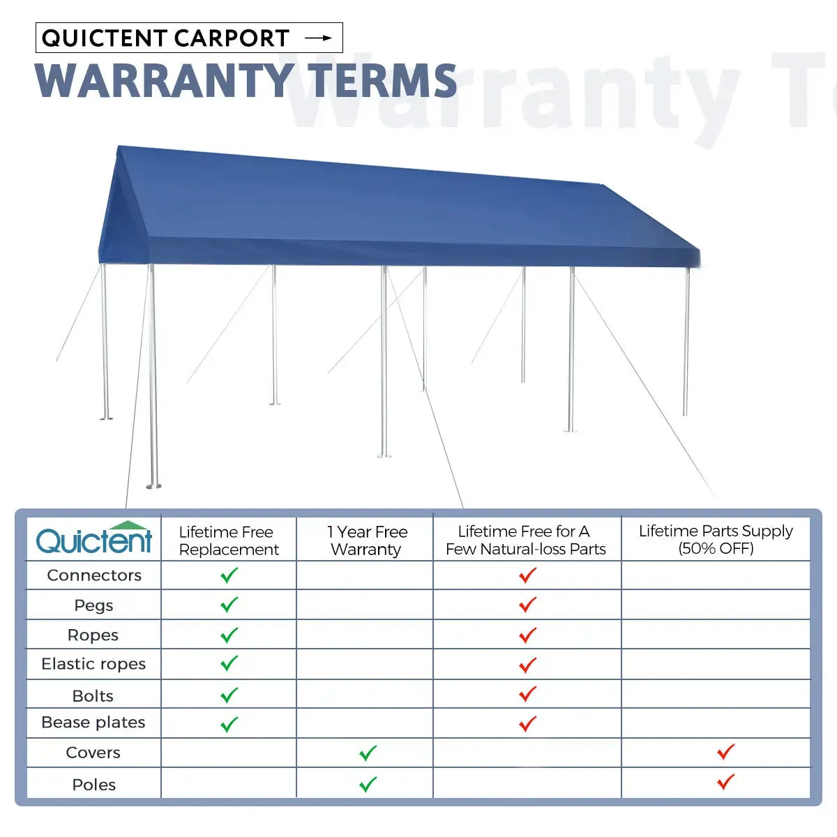 20' x 10' Upgraded Heavy-duty Carport Canopy