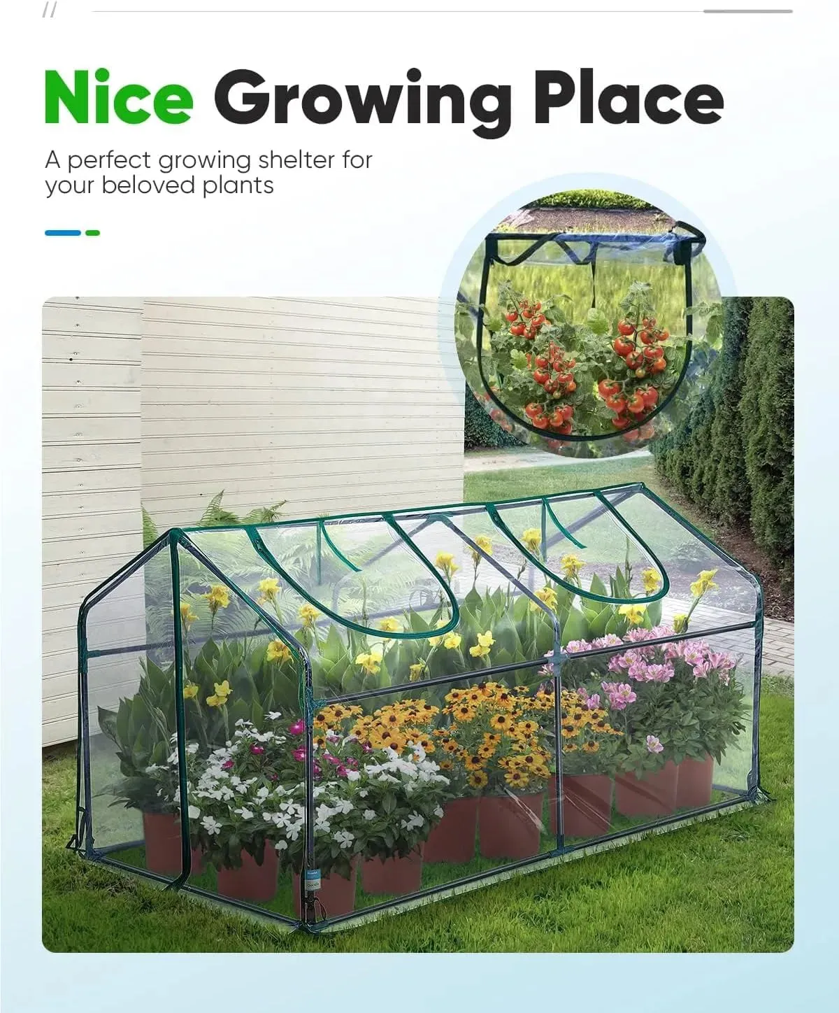 71" X 36" X 36" Mini Greenhouse-Clear