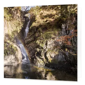 Aira Force Greetings Card