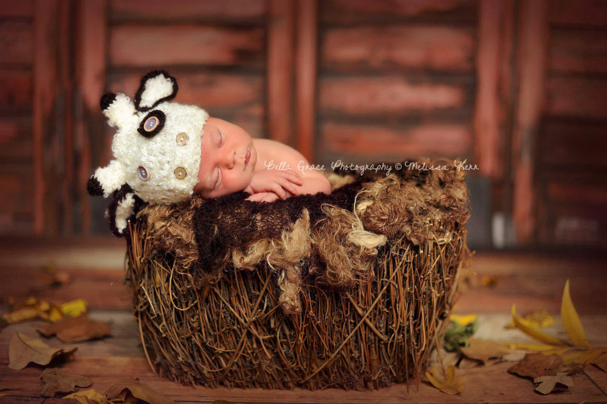 Baby Cow Newborn Animal Hat