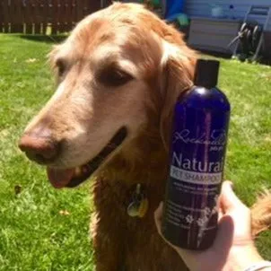 Dog Shampoo