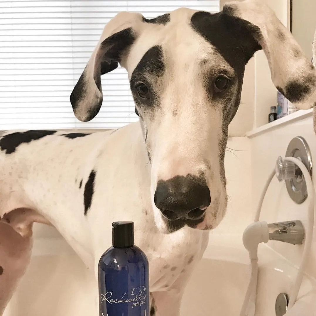 Dog Shampoo