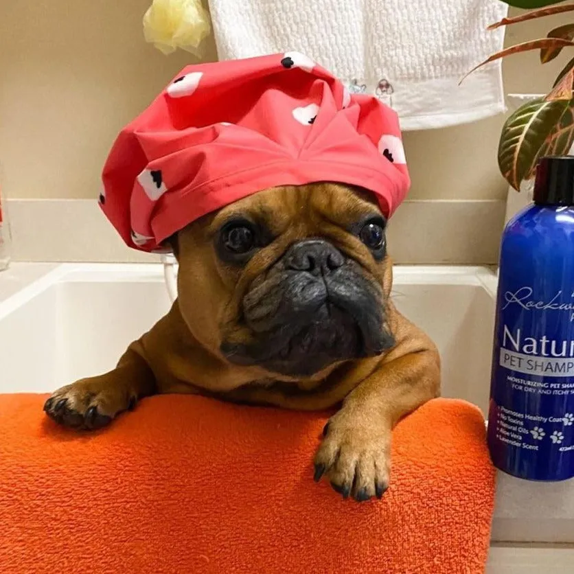 Dog Shampoo