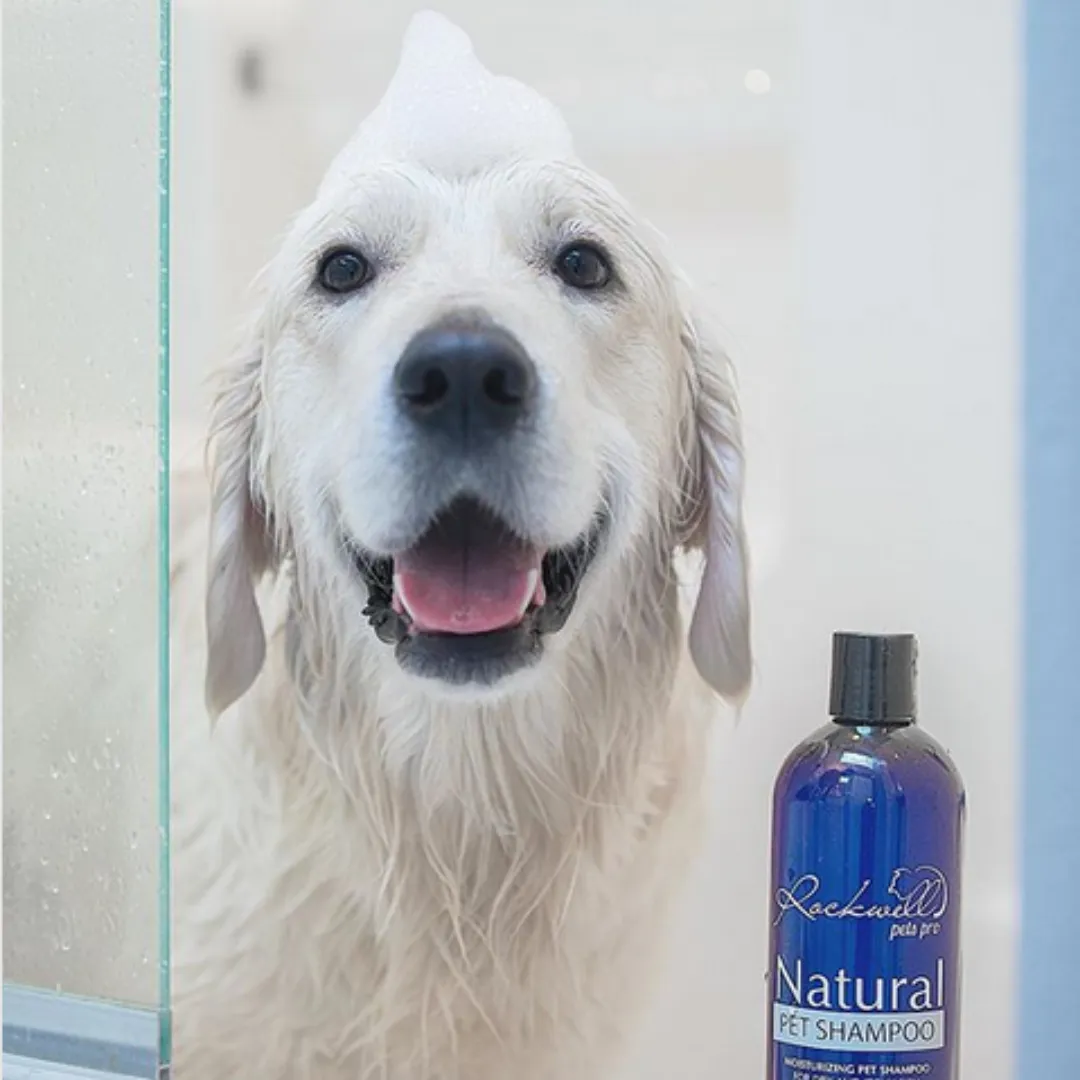 Dog Shampoo