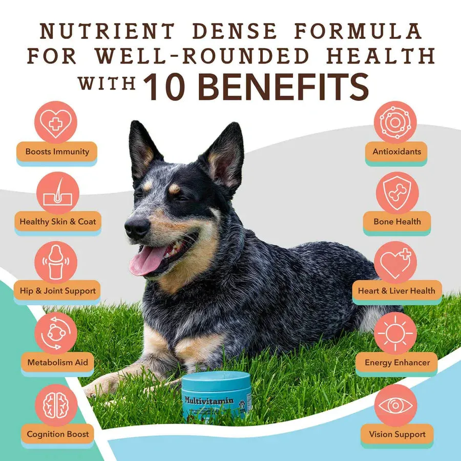 Natural Dog Company Multivitamin Dog Supplement - Wholesale