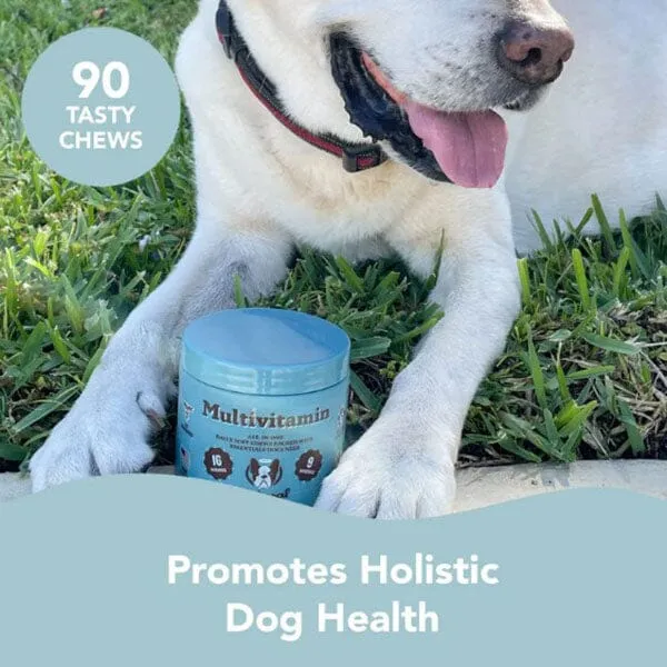 NATURAL DOG COMPANY - Multivitamins Supplements - 90 Chews