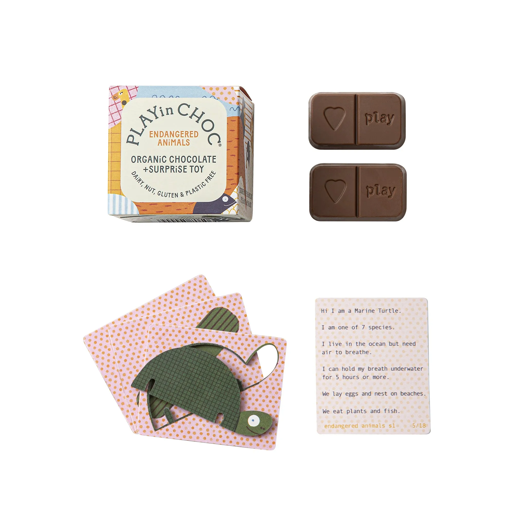 PLAYinCHOC Box - Endangered Animals