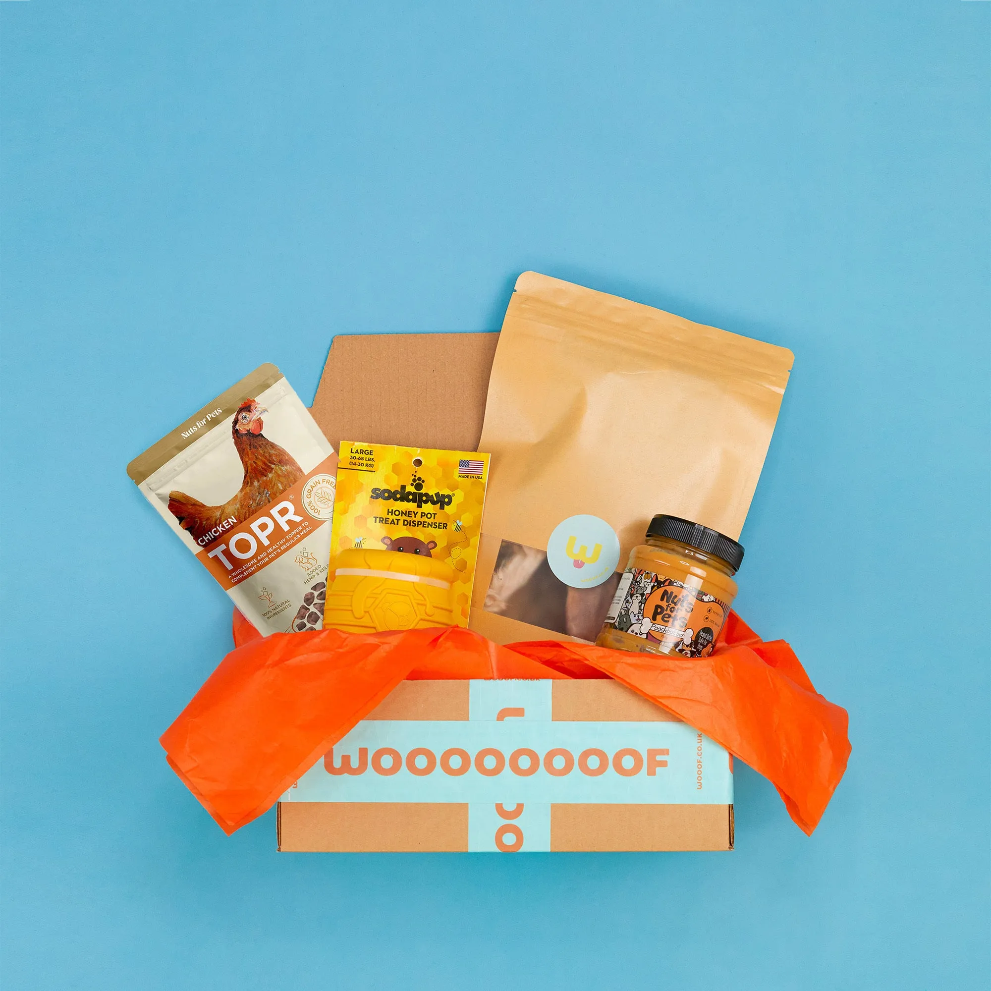 The "Un-Bee-Lievable" Enrichment Gift Bundle for Dogs