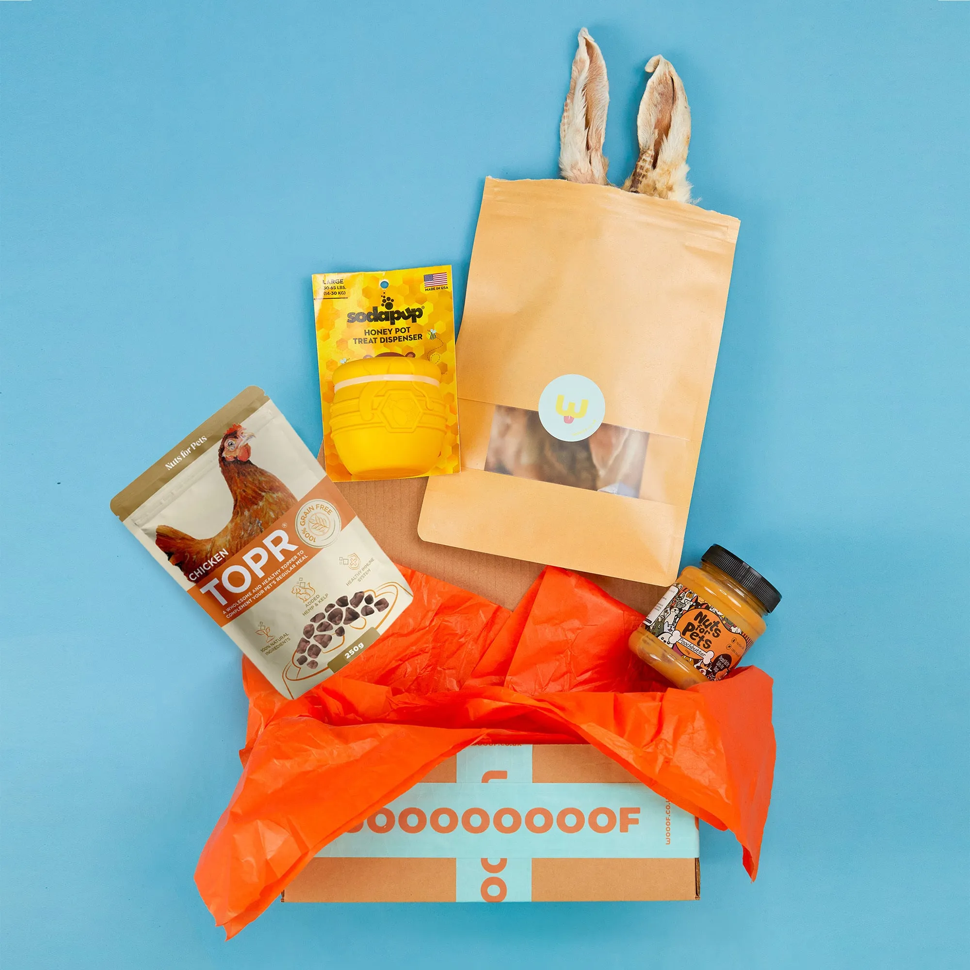 The "Un-Bee-Lievable" Enrichment Gift Bundle for Dogs