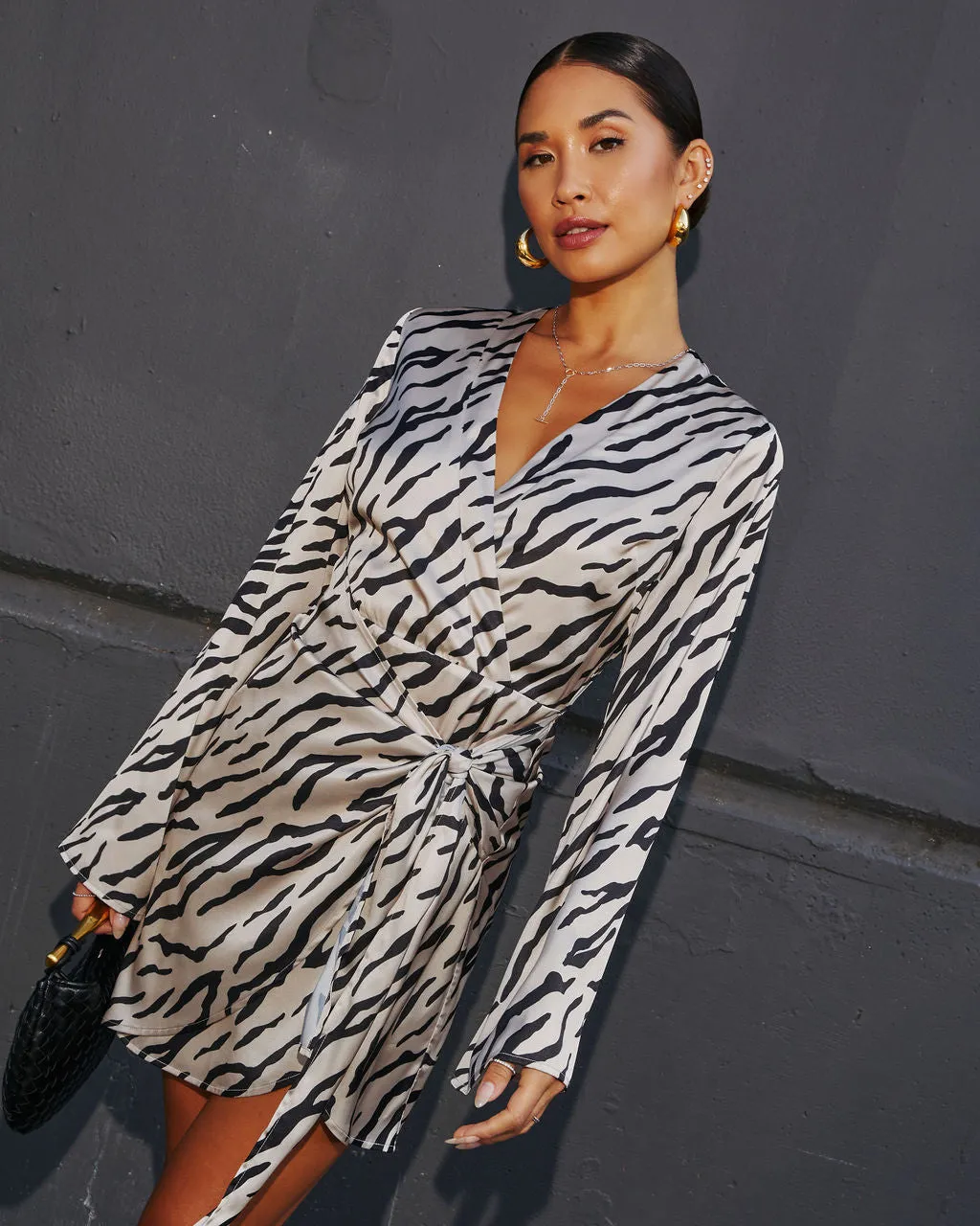 Turn Heads Animal Print Wrap Mini Dress