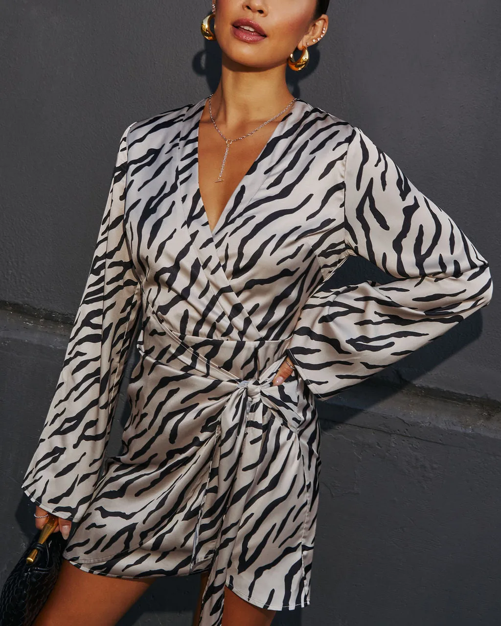 Turn Heads Animal Print Wrap Mini Dress