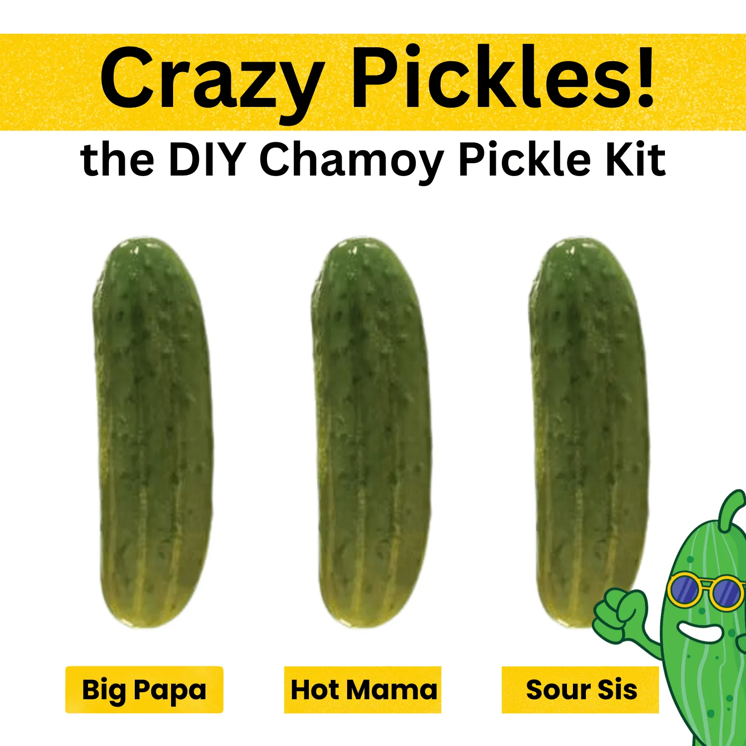 Ultimate Crazy Pickle Kit - DIY Chamoy Pickle Kit Variety with Mexican Spice