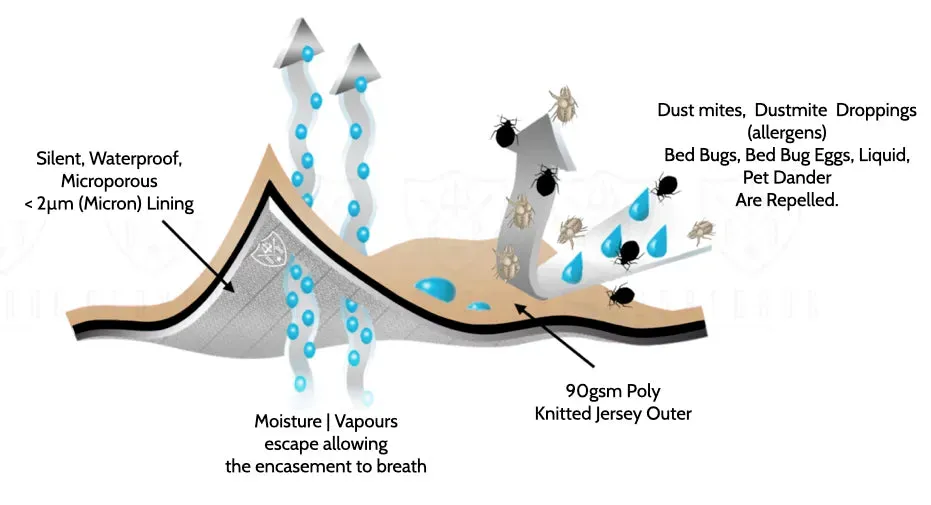 Waterproof Dust Mite Mattress Protector I Encasement I 24 - 33 cm Depth